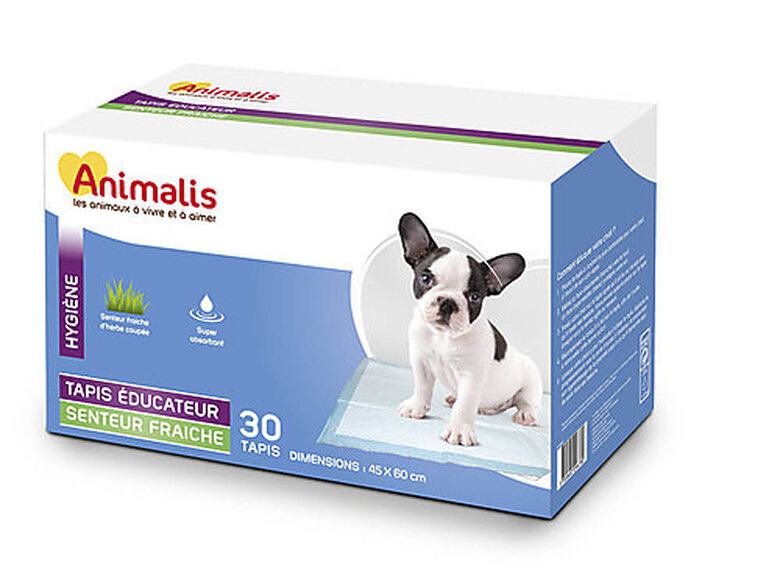 Animalis - Tapis Éducateurs Senteur Fraiche pour Chiot - x30 Image numéro 1 Animalis - Tapis Éducateurs Senteur Fraiche pour Chiot - x30 Image numéro 1