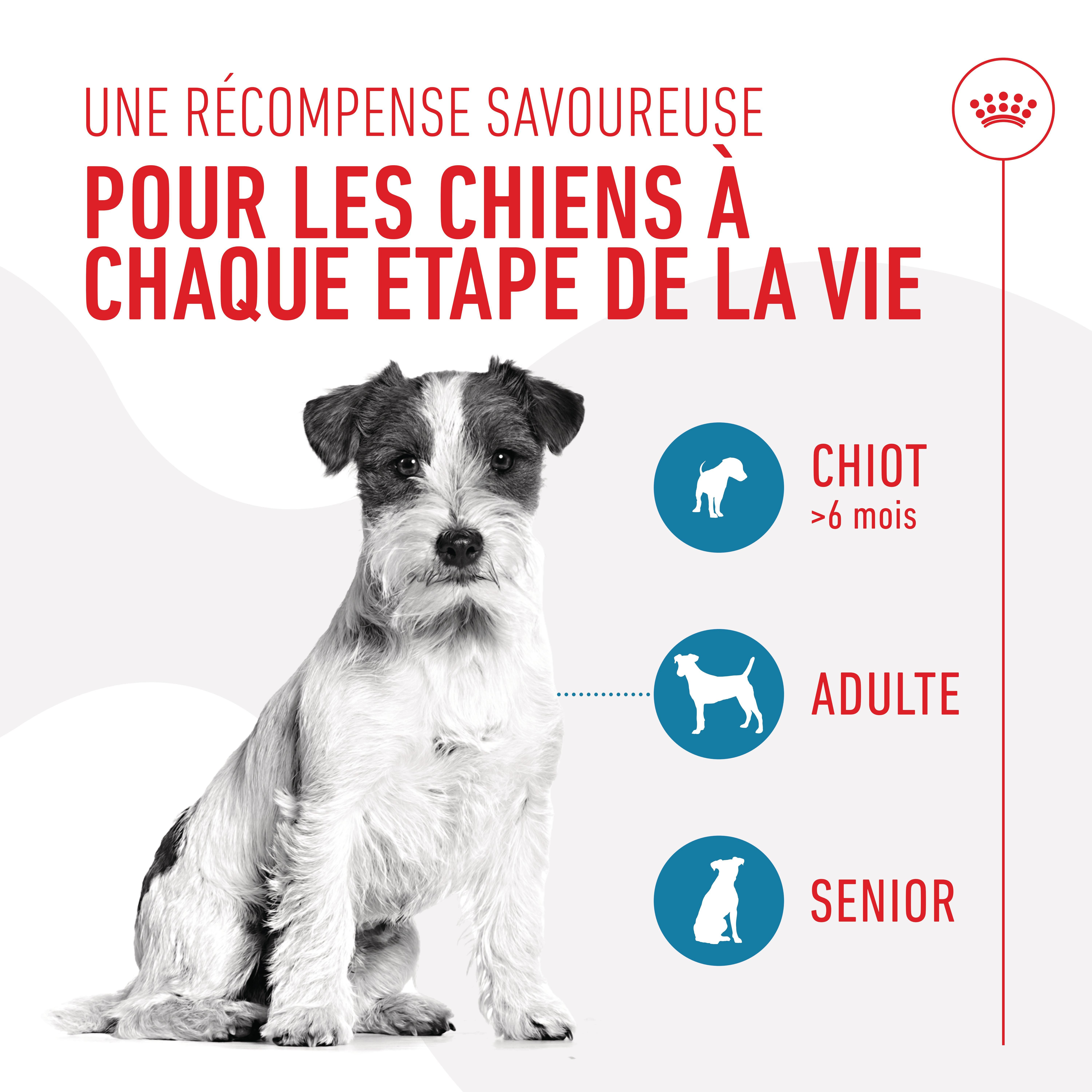 Royal Canin - Training Treats Friandises d'Education pour Chiots et Chiens Adultes - 110g Image num&eacute;ro 5