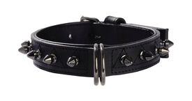 Bobby - Collier Pretty Vert pour Chiens