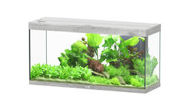 Aquatlantis - Aquarium SPLENDID Led 2.0 Equipé Chêne Blanc - 240L