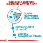 Royal Canin - Croquettes Puppy X-Small pour Chiot de Petite Taille - 1,5Kg image number null