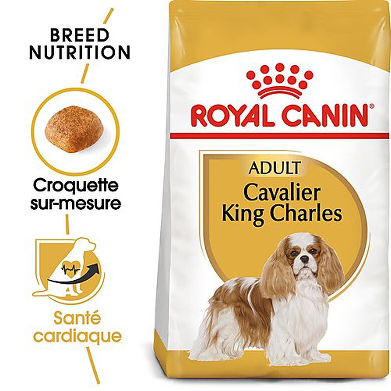 Royal Canin - Croquettes Cavalier King Charles pour Chien Adulte - 3Kg image number null