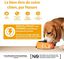 Wellness CORE - Repas Complet 95% de Poulet et Canard pour Chien - 400g Indicateur image numéro 3