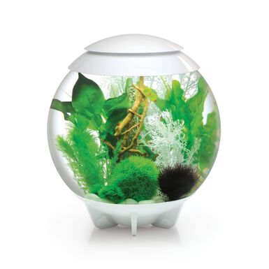 biOrb - Aquarium Halo - 30 mcr blanc
