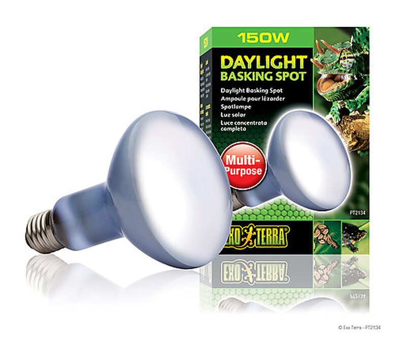 Exo Terra - Ampoule Daylight Basking Spot - 150w Image numéro 1 Exo Terra - Ampoule Daylight Basking Spot - 150w Image numéro 1