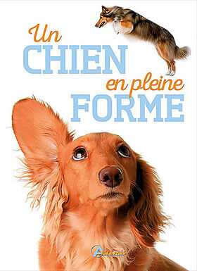 Artémis - Un Chien en pleine forme