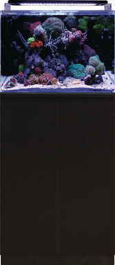 Blue Marine - Meuble Reef 120 Noir - 50x65x85cm