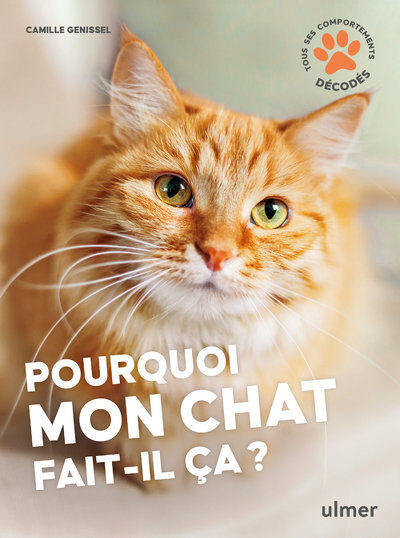 Pourquoi mon chat fait-il &ccedil;a ? Image num&eacute;ro 1