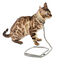 Bobby - Collier Nala Gris pour Chat - 30cm Indicateur image numéro 2