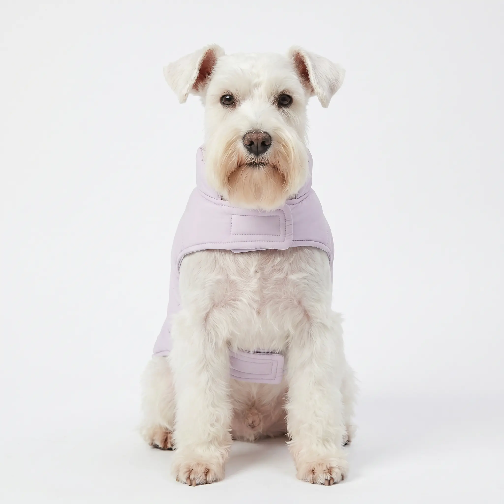 Gotoo - Manteau Chaud Imp&eacute;rm&eacute;able Lilas pour Chiens - 45cm Image num&eacute;ro 4
