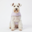 Gotoo - Manteau Chaud Imp&eacute;rm&eacute;able Lilas pour Chiens - 45cm Indicateur image num&eacute;ro 4