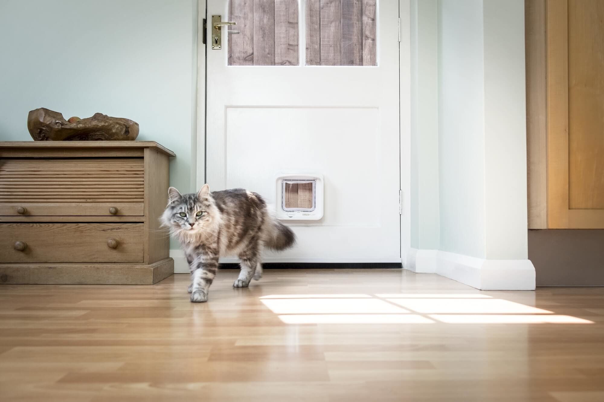 Sure PetCare - Chati&egrave;re SureFlap &agrave; puce &Eacute;lectronique DualScan pour Chat - Blanc Image num&eacute;ro 3