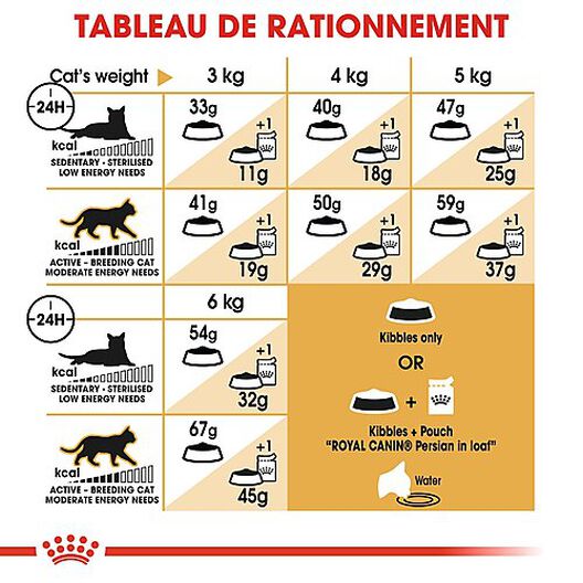 Royal Canin - Croquettes Persian pour Chat Adulte - 2Kg image number null