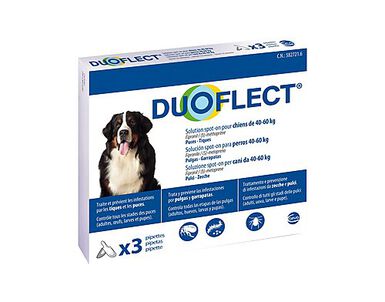 Duoflect - Pipettes Antiparasitaire de 40 à 60Kg pour Chien - x3