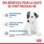 Royal Canin -  BABYDOG MILK LAIT SEVRAGE DU CHIOT DE 0 A 2 MOIS - 400g Indicateur image numéro 4