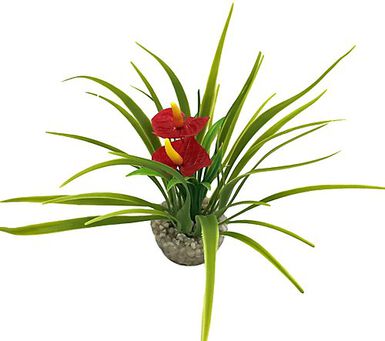 Labeo - Buisson fleur anthurium rouge - Plante Artificielle Aquarium