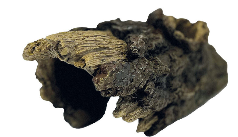 Repto - Cachette Arbre Wood Home - M Image numéro 1 Repto - Cachette Arbre Wood Home - M Image numéro 1