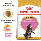 Royal Canin - Croquettes Maine Coon pour Chaton - 4Kg image number null