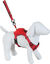 Zolux - Harnais Easyride Rouge pour Chiens - XS Indicateur image numéro 2
