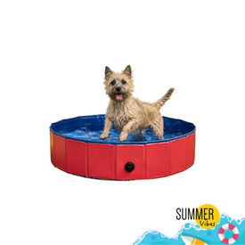 Summer Vibes - Piscine Rouge pour Chiens
