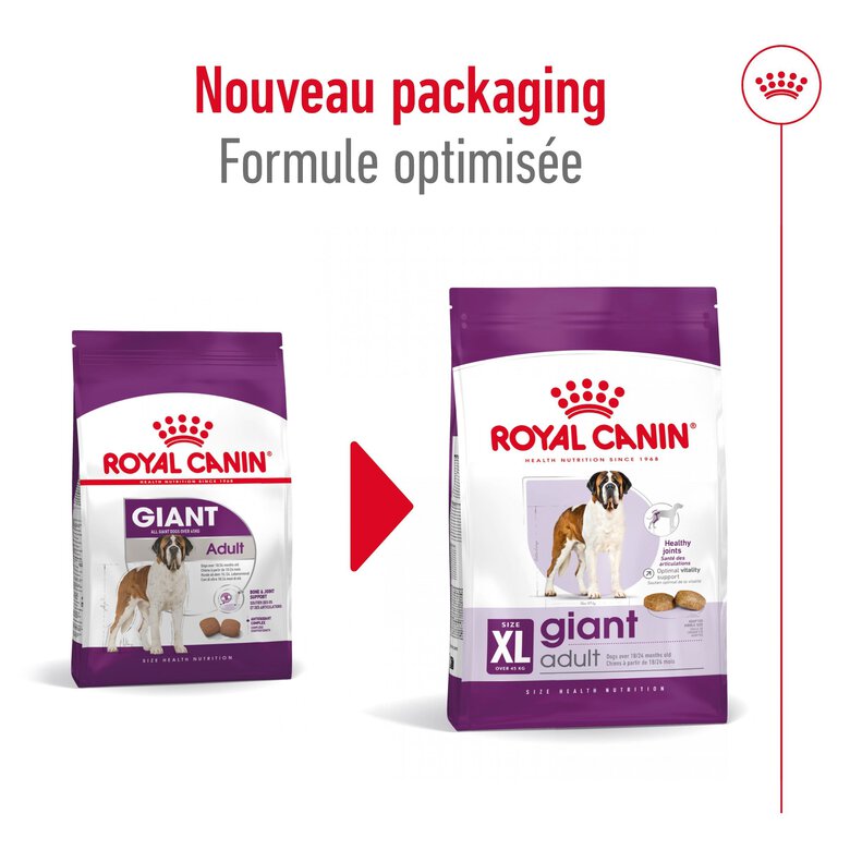 Royal Canin - Croquettes Giant Adult pour Chien - 15Kg Image numéro 10 Royal Canin - Croquettes Giant Adult pour Chien - 15Kg Image numéro 10