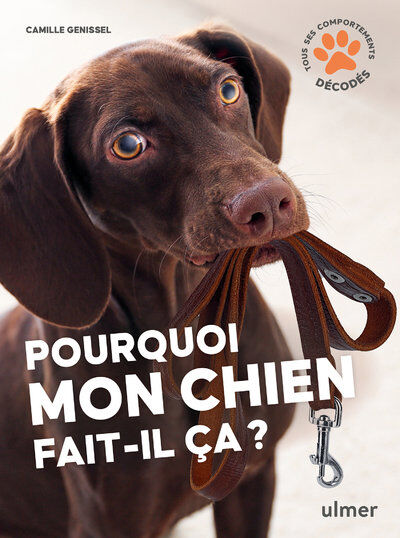 Pourquoi mon chien fait-il &ccedil;a ? Image num&eacute;ro 1