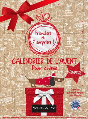 Wouapy - Calendrier de l'Avent Surprise - Chien