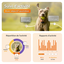 Weenect - Traceur GPS L/XL Edition 2023 pour Chiens - Noir Indicateur image numéro 2