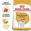 Royal Canin - Croquettes Jack Russel Terrier pour Chien Adulte - 3Kg Indicateur image numéro 1