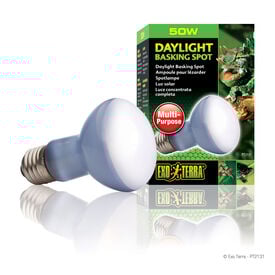 Exo Terra - Ampoule Daylight Basking Spot - 50W