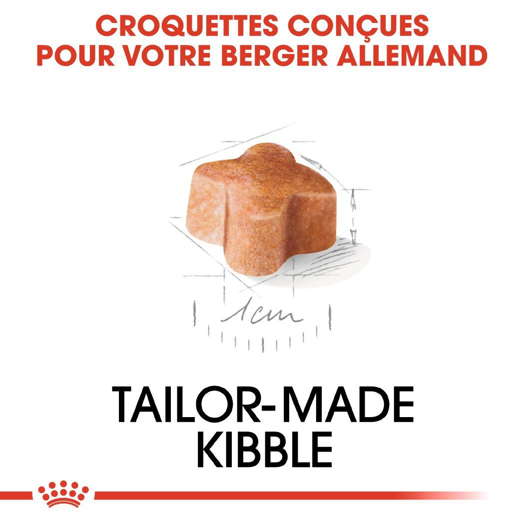 Royal Canin - Croquettes Berger Allemand Junior pour Chiot - 12Kg Image num&eacute;ro 4