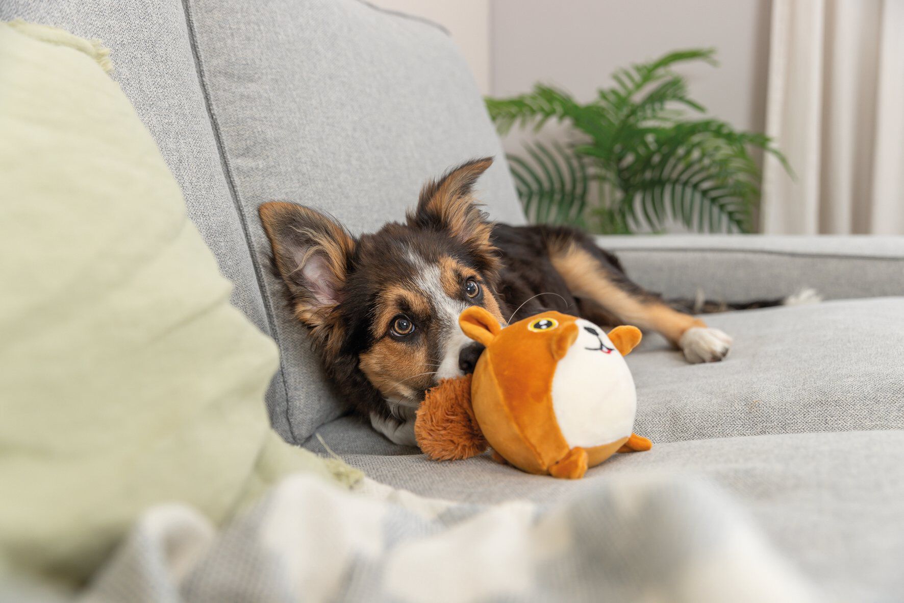 Trixie - ECUREUIL ROND EN PELUCHE - 13 CM Image num&eacute;ro 2