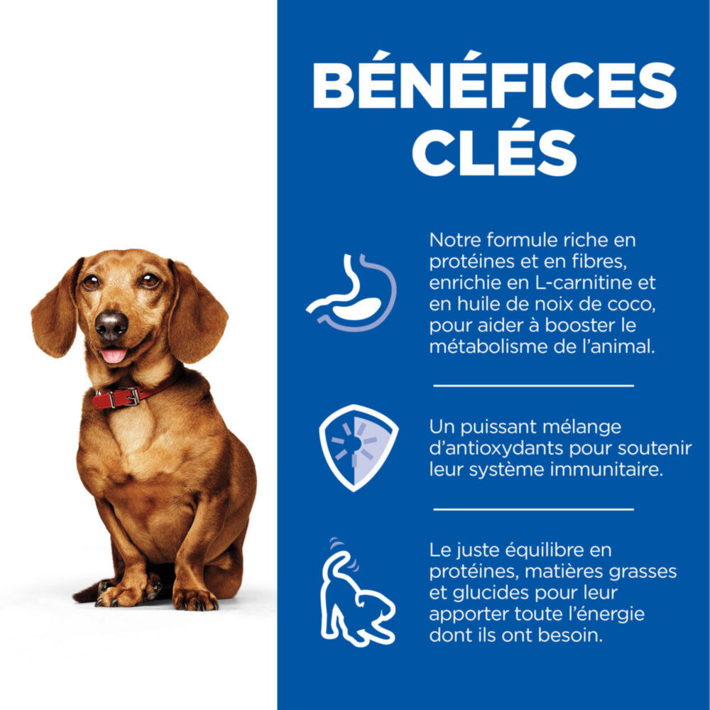 Hill&rsquo;s Science Plan Perfect Weight Adult Small&Mini Mousse Chien Adulte Petite Race Dinde,  - 200g Image num&eacute;ro 3