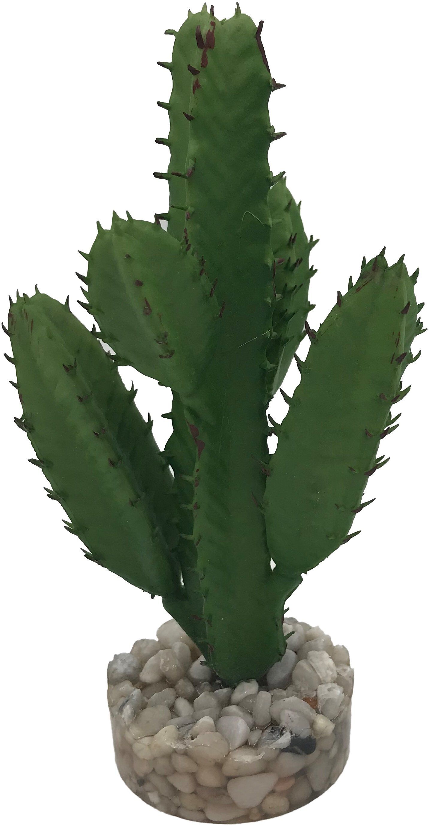 Labeo - Succulente moyen mod&egrave;le Plante Artificielle Aquarium et Terrarium Image num&eacute;ro 1