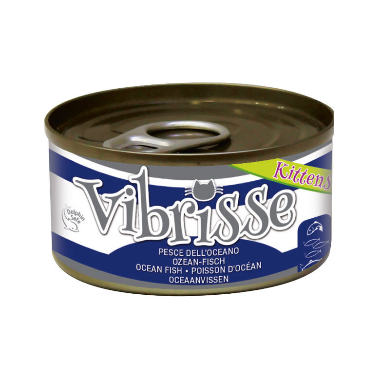 Vibrisse - Pâtée KITTEN POISSON D'Océan pour Chatons - 70g Image numéro 1 Vibrisse - Pâtée KITTEN POISSON D'Océan pour Chatons - 70g Image numéro 1