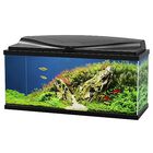 Ciano - Aquarium 80 LED - Noir - 80X30X41,5CM image number null