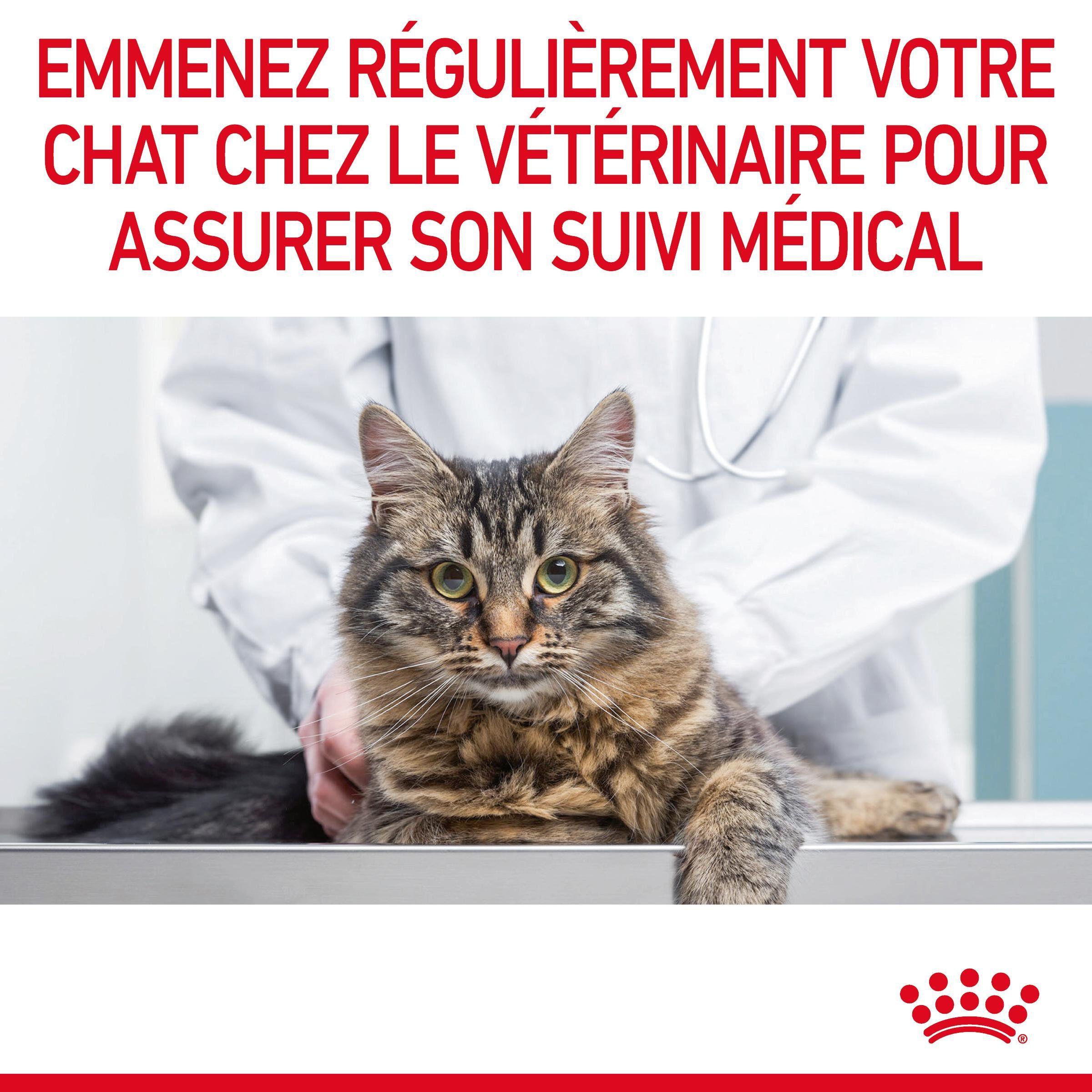 Royal Canin - Croquettes Urinary Care pour Chat - 4Kg Image num&eacute;ro 11