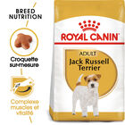 Royal Canin - Croquettes Jack Russell Adult pour Chiens - 1,5Kg image number null