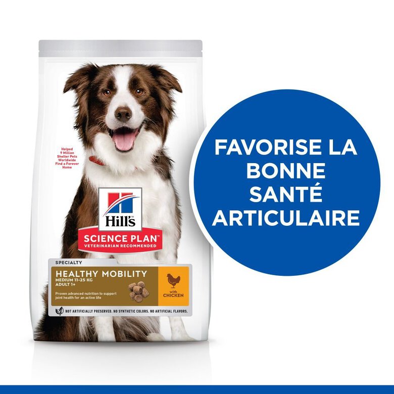 Hill's Science Plan - Adult Healthy Mobility Croquettes Pour Chien Au Poulet  - 12kg Image numéro 2 Hill's Science Plan - Adult Healthy Mobility Croquettes Pour Chien Au Poulet  - 12kg Image numéro 2