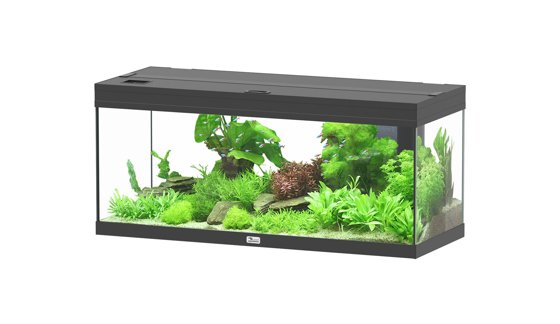 Aquatlantis - Aquarium Prestige 100 - Noir Led 2.0 EQP Image num&eacute;ro 2
