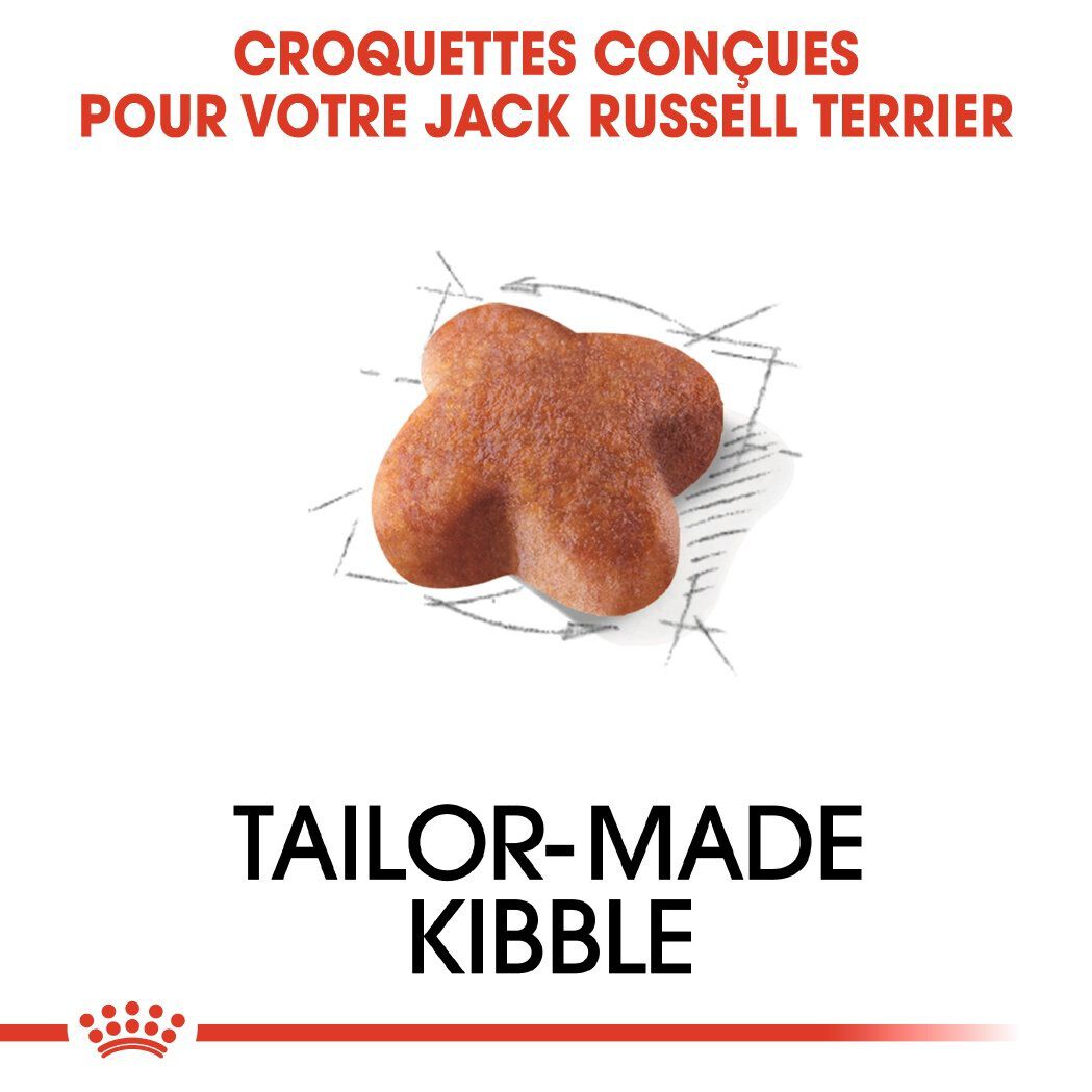 Royal Canin - Croquettes Jack Russel Terrier pour Chien Adulte - 3Kg Image num&eacute;ro 4
