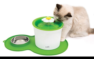 Catit - Tapis de Silicone Rond Vert pour Chats - 46x29cm