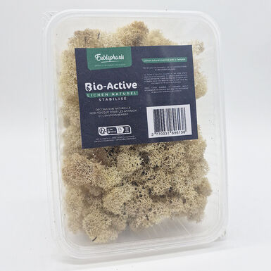 Eublepharis - Lichen Stabilisé Naturel pour Reptiles