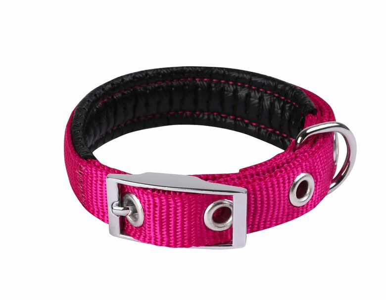 Animalis - Collier Basic Confort Fuchsia pour Chien - 15mm et 35cm Image numéro 1 Animalis - Collier Basic Confort Fuchsia pour Chien - 15mm et 35cm Image numéro 1