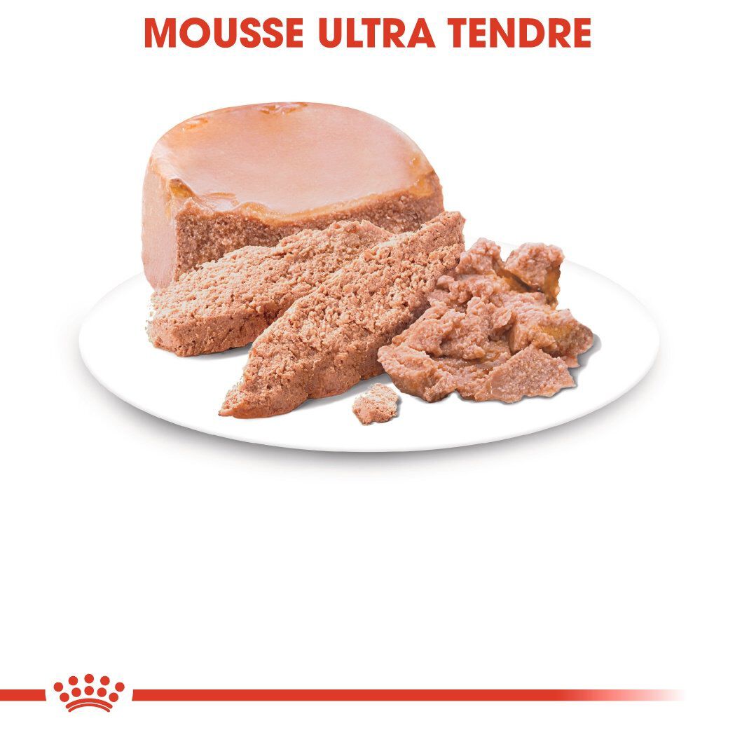 Royal Canin - Tendre Mousse Mother & Babycat Chatte et Chaton 0 &agrave; 4 Mois - 195g Image num&eacute;ro 10
