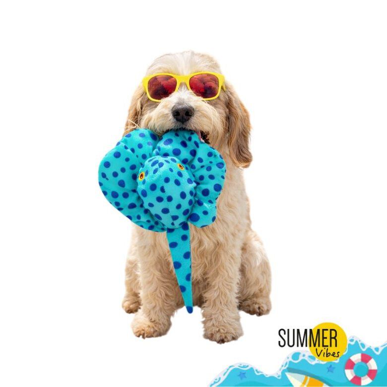 Summer Vibes - Peluche Raie Manta Flottante et Sonore pour Chiens - 36cm Image num&eacute;ro 1