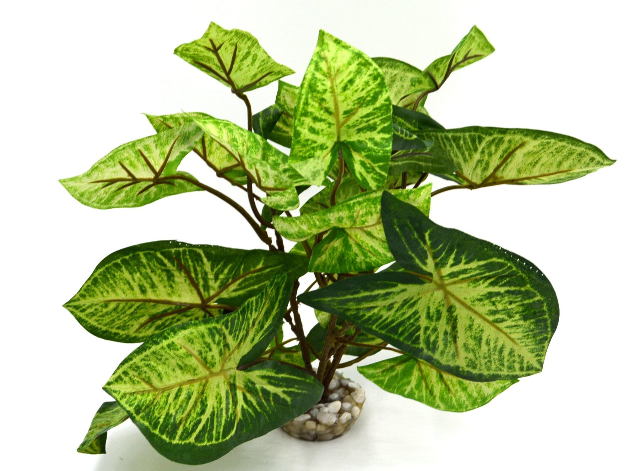 Labeo - D&eacute;coration Plante Verte Artificielle pour Aquarium Image num&eacute;ro 3