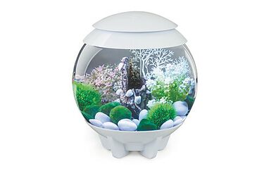 biOrb - Aquarium Halo 15 mcr blanc