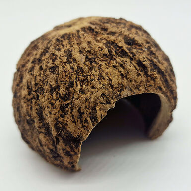 Eublepharis - Cachette Kabuto pour Reptiles - 12cm