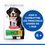 HILL'S SCIENCE PLAN Aliment pour Chien Adulte Mature 5+ de Grande Race Senior Vitality au Poulet et au Riz 12kg Indicateur image numéro 2